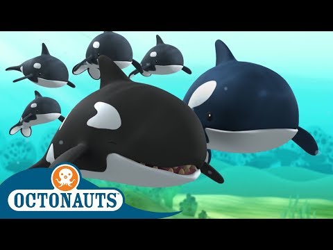 Octonauts - Rise of the Icebreaker | Cartoons for Kids | Underwater Sea Education