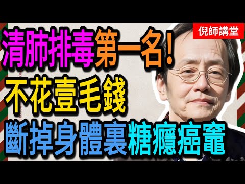 倪海廈：你以為的「養生」是在餵毒！倪師怒斥：把這些「甜頭」戒掉！這味「苦藥」才是真仙丹，清肺排毒第一名！#倪海廈#倪師#養生 #中醫 #中醫調理#中醫食療 #中醫養生 #健康養生