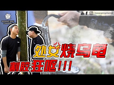 被绑到芙蓉 割胶割到呕!!!