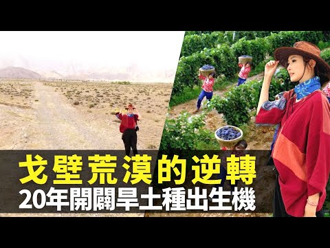 無窮之路｜陳貝兒探索寧夏西海固沙漠 山海情電影現實主角剖白｜被聯合國評為極不適合人類居住 吊莊移民大遷徙銀川｜歷時20年合作開闢閩寧村 戈壁荒漠變巨型葡萄莊園