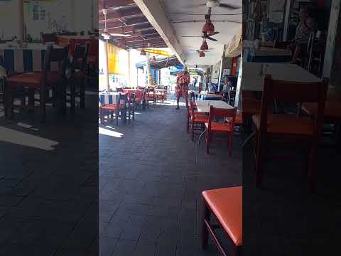 My friend JJ still rocking with  his cane in his late 70s