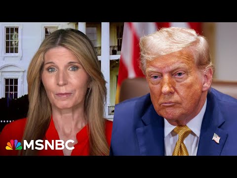 ‘Eggs sacrificed on Trump’s cabinet’s faces’: Nicolle Wallace on Trump’s DOJ mishaps