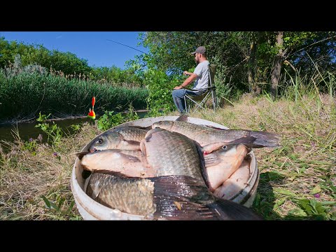 НАЖИВКА ПОД НОГАМИ! СОБИРАЙ ДА ЛОВИ! СУМАСШЕДШИЙ КЛЁВ КАРАСЯ! ПОЛНОЕ ВЕДРО. ПРОЩЕ НЕКУДА.