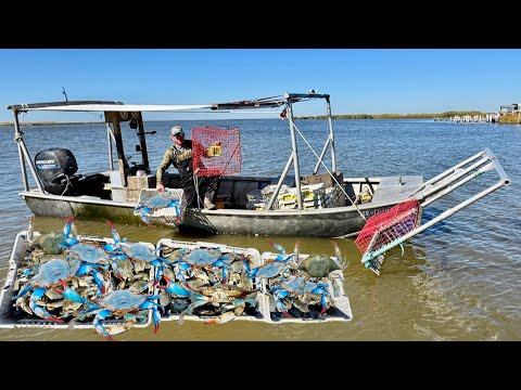 $293 Million Worth of Crab and I Got to Help Catch Them! (Catch & Cook)