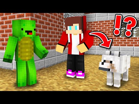 Minecraft, But I Shapeshift Every Minute