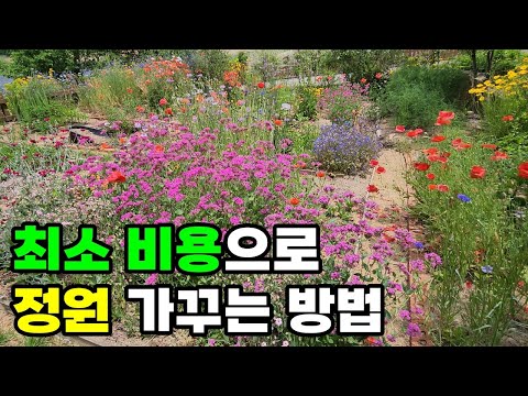 최소한의 비용으로 정원 만드는 방법 | 육묘장 1년 간의 기록 | 강원도 정원