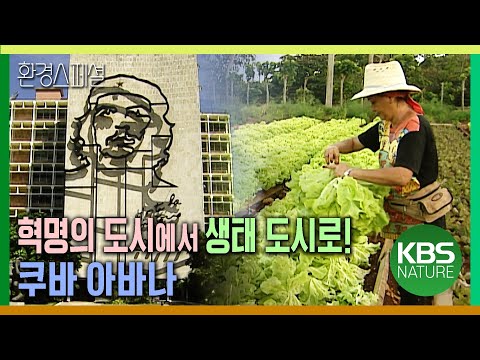 혁명의 도시에서 생태 도시로! 쿠바 아바나 [환경스페셜-세계의 생태도시 1편 녹색혁명 도시 생명을 키우다 -쿠바 아바나] / KBS 20040512 방송