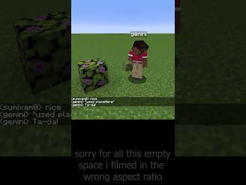 Justice for Gemini #minecraft #gemini