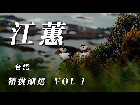 （江蕙）（精挑細選  ）VOL 1。🦄🦄🦄🦄
