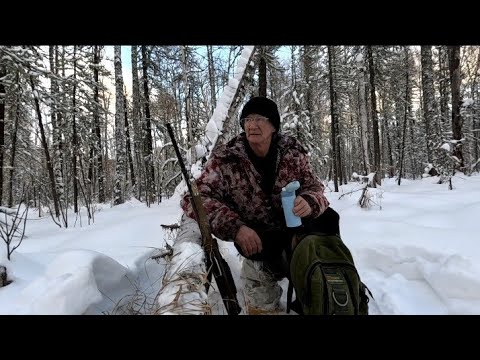 Охочусь на лося скрадом.