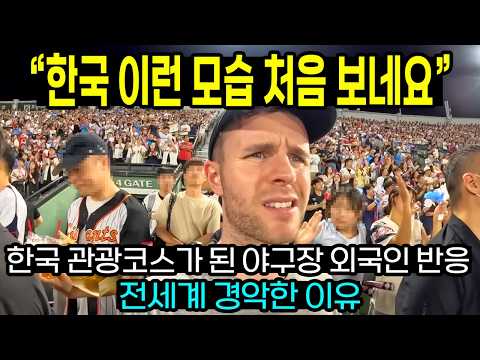 "미국보다 한국이 더 대단해요" 미국야구 광팬이 봐도 놀란 한국 야구장 전세계 경악한 이유