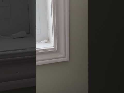 美国众议院高票通过的“保护台湾法”这次能否避免前两次被参议院搁置的命运，落地成为法律？这个法律真正的杀手锏是什么？为什么我说川普前一年对盟友的关税战削弱了这个杀手锏