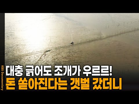 긁었다 하면 조개가 우르르!, 자연의 걸작 갯벌을 가다 | KBS 20210930 방송