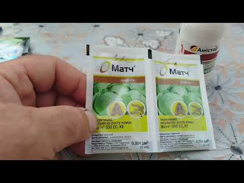 Обработка винограда простая и надёжная.