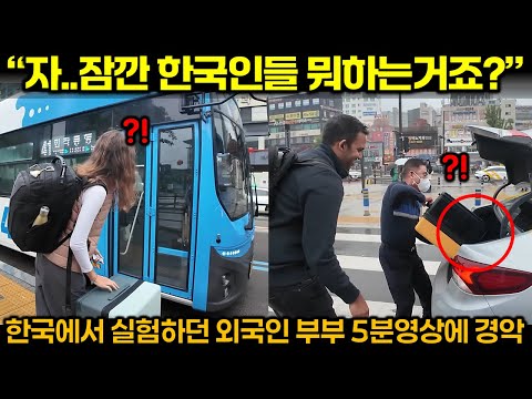 "자...잠깐 한국인들 뭐하는 거죠?" 한국에서 실험하던 외국인 부부 5분 영상에 경악