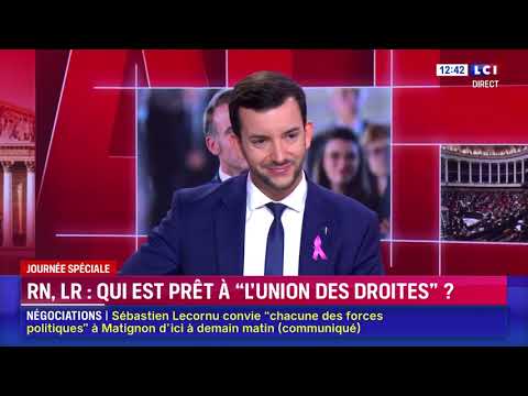 Jean-Philippe Tanguy : "Les Français doivent pouvoir trancher sur un programme politique !" (LCI)
