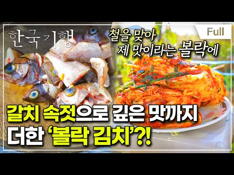 [Full] 한국기행 - 김치 대첩 제1부 별미 김치 맛보실래요?