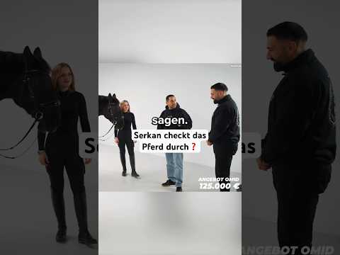 Serkan checkt das Pferd für Omid einmal durch #omidmouazzen #autohandel