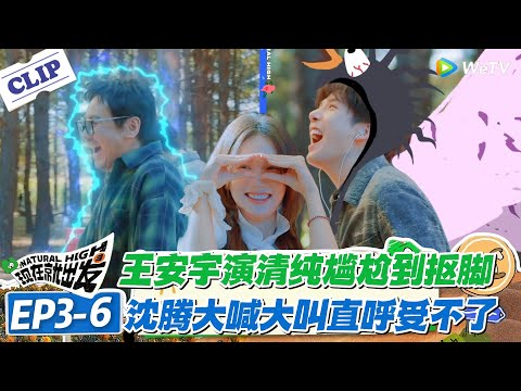 现在就出发 第3季EP3-6:笑裂!王安宇撑伞演清纯尴尬到抠脚!沈腾地瓜之恋直接成为清纯王!#现在就出发S3 #沈腾 #白敬亭 #王安宇 #金晨 #范丞丞