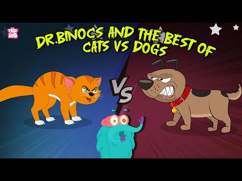 Dogs vs Cats | Which is Your Favorite Pet? | Learn about Cats and Dogs | The Dr. Binocs Show