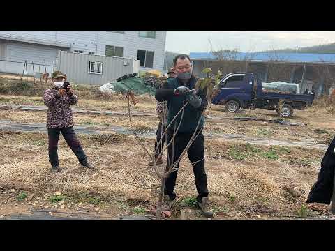 장흥에서 전정교육중12월24일