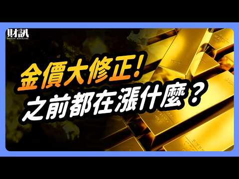 金價大修正 之前暴漲的原因消失了嗎？｜#投資IN總經 EP80 #黃金 #白銀