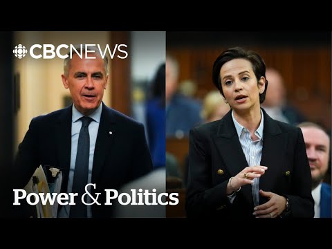 Carney 'ignoring' will of the House on spring economic update: Melissa Lantsman | Power & Politics