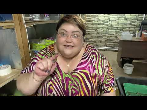 Разбор всех ошибок при укоренении гортензии зелеными черенками