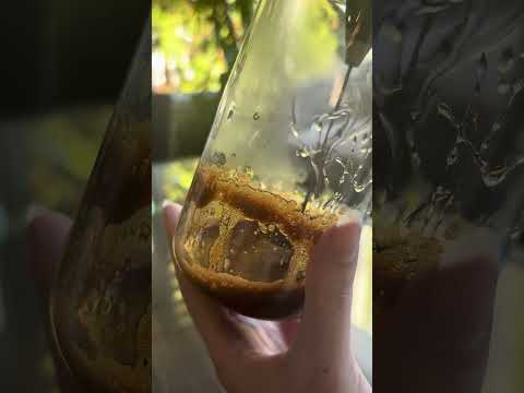 honey brown sugar latte ☕️🧊 easy iced coffee without an espresso #coffee #honeylatte #coffeeathome