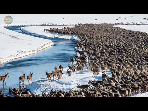 They DISAPPEARED 70 Years Ago | But a Real MIRACLE Happened