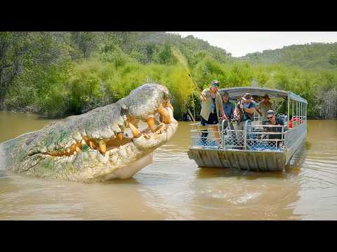30 LARGEST Animals and Creatures Ever Caught on Camera