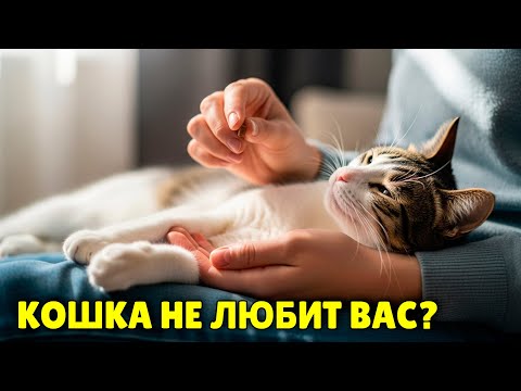 💔 Кошка не любит обниматься: ПОЧЕМУ она ИЗБЕГАЕТ ласки? 😭