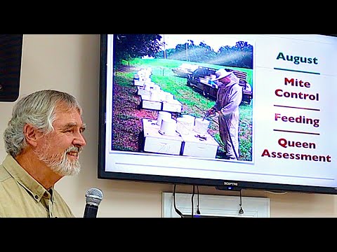 A Year In The Bee Yard