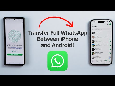 How To Transfer All WhatsApp Data Between iPhone and Android!