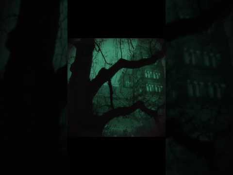 slytherin aesthetic edit 💚 || #harrypotter #gyriffindor #fyp