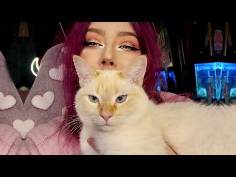 toasty's amputation & life as a tripod, Hurricane Helene, and my terrible 2024