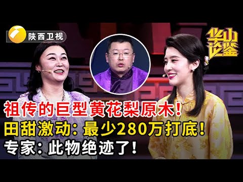 祖传的巨型黄花梨原木！田甜激动：最少280万打底！专家：此物绝迹了！#鉴宝 #华山论鉴