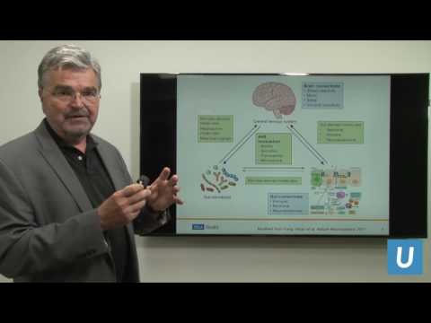 The Mind-Gut Connection: Conversation Within Our Bodies | Emeran Mayer, MD, PhD | UCLAMDChat