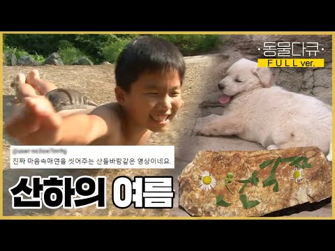 [풀버전] 전기도 들어오지 않는 오지 마을에는 산하와 노부부, 강아지들만 살고 있다🌿 | 산하의 여름 | KBS 인간극장 2012 방송