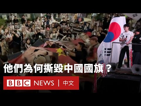 APEC峰會將至 韓國青年撕毀中國國旗、舉「反華」遊行 - BBC News 中文