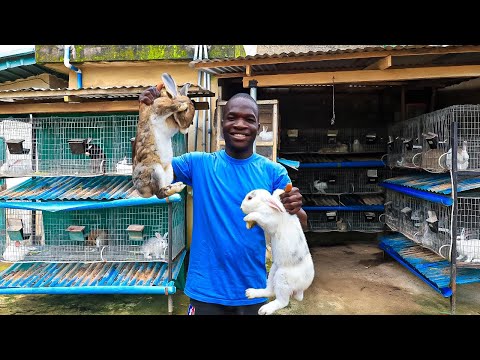How I Became a Millionaire in My 20’s With These Little Animals in Nigeria