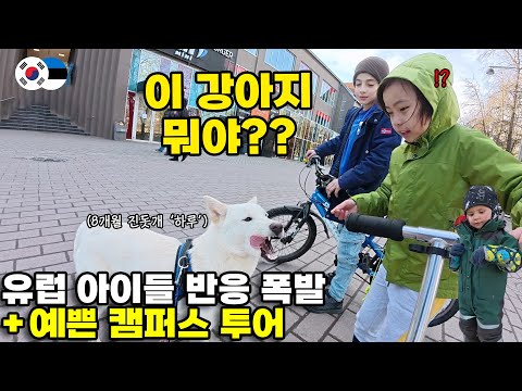 “What kind of dog is that?!” — European Kids Adore This Korean Jindo 🐶 | Campus Walk in Estonia 🇪🇪