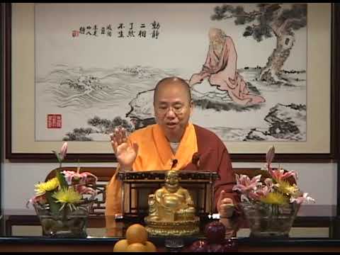 極樂世界完全沒有痛苦？念佛法門為什麼適合根機鈍 、今生未能大悟的人？觀成法師開示(部分有字幕)