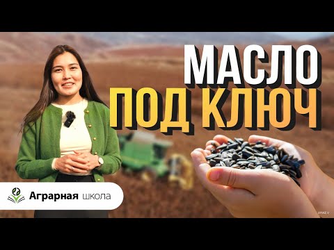 How is sunflower oil produced?