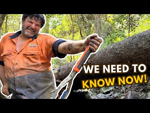 Massive Signal Under This Boulder — We Had to Know What It Was, We're Praying...