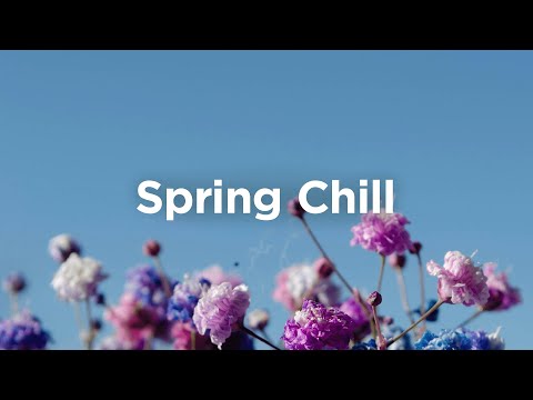 Spring Chill 🌷 Smooth Chillout Music for Relaxing Days  | Chill Mix
