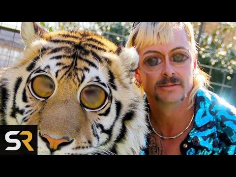 Netflix's Tiger King Pitch Meeting