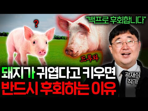돼지를 집에서 함부로 키우면 큰일 나는 이유 🐖 | 한반도의 주인은 한국인이 아니라 멧돼지..? (곽재식 작가)