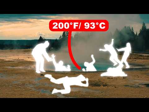 The Horrifying Deaths of Yellowstone National Park