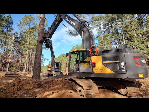 This One Was Tricky!  Big Tree Clearing Beside The Road
